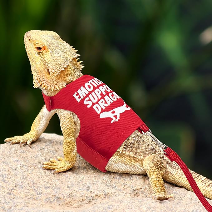 Bearded Dragon Harness and Leash Set - Escape Proof Adjustable Lizard Reptiles Harness with 5 ft Short Leash for Walking Outdoor