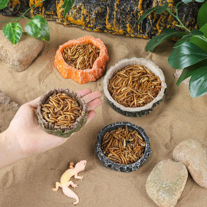 IBWell 2pcs Reptile Water Bowl with Feeding Tweezers - Reptile Food Dish for Lizard, Snake, Tortoise & Small Animals - Wooden Tree Stump