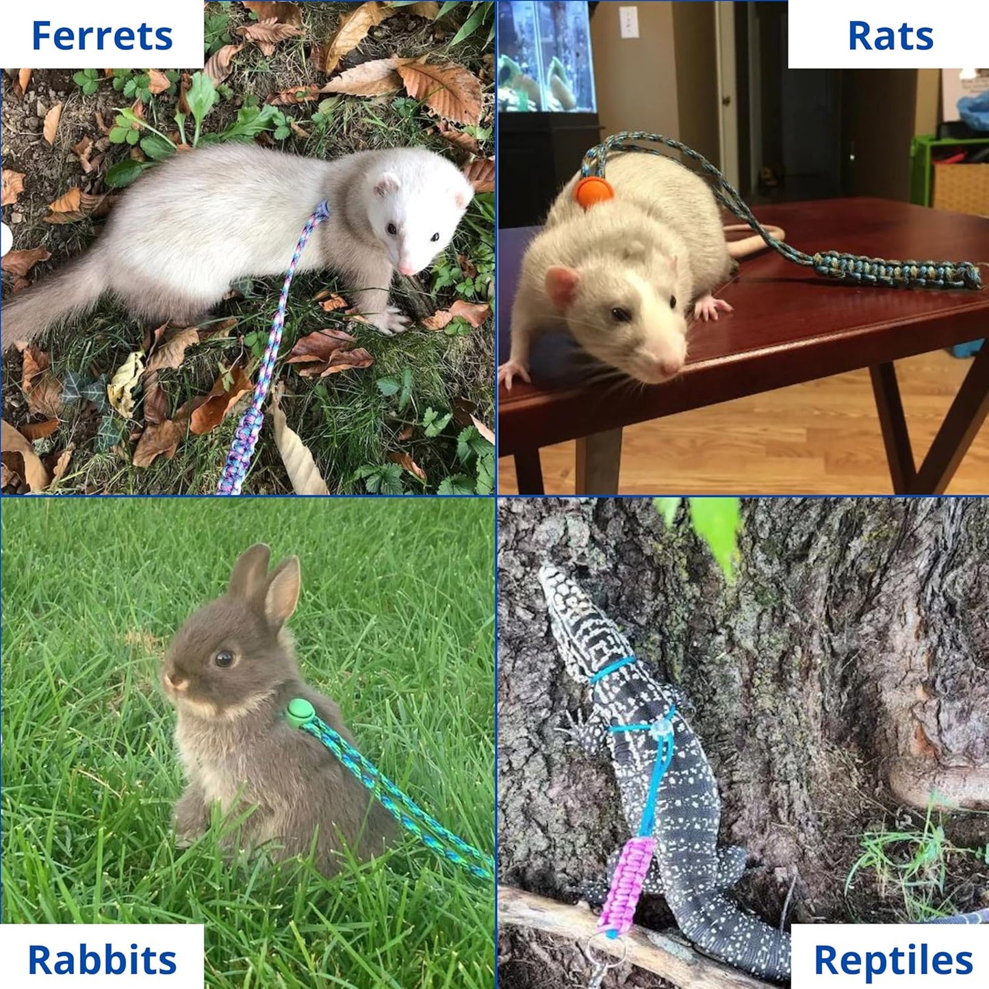 Ferret Leash Harness Adjustable Squirrel, Ferret Leash and Harness Sets for Ferrets Guinea Pig Chinchilla Rat Dragon Bearded Small Animal, Pet Squirrel Ferrets Accessories (Pink)