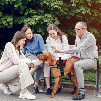 Dogline Dog Harness, Reflective No-Pull Adjustable Vest with Handle for Walking, Training, Breathable, No - Choke Harness for Small, Medium or Large Dogs Room for Patches Zebra Black/Red XL 33"-46"