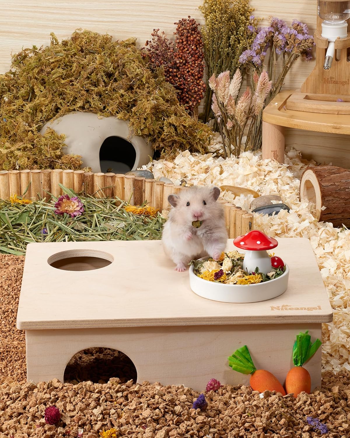 Niteangel Hamster Snack & Treats Toy: - Small Animal Natural Treat Mix for Dwarf Syrian Robo Hamsters Gerbils Mice Lemmings Degus or Other Small-Sized Pets (Vegetable Combo)