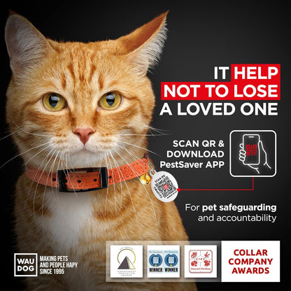 Leather Cat Collar with Bell and Safety Elastic Strap Breakaway Alternative for Small & Large Kittens, Stylish Pet Leather Collar for Boy, Girl Cats with Metal Buckle & QR ID Tag (Orange)