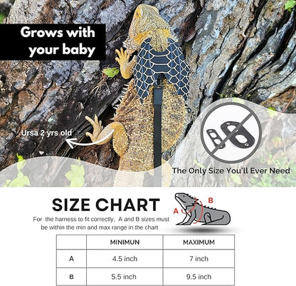 Adjustable Bearded Dragon Leash and Harness Set, Leopard Gecko Leash, Wings & Butterfly Wings, Comfortable Fit, Retractable and Escape-Proof Lizard Harness and Leash, Bearded Dragon Accessories.