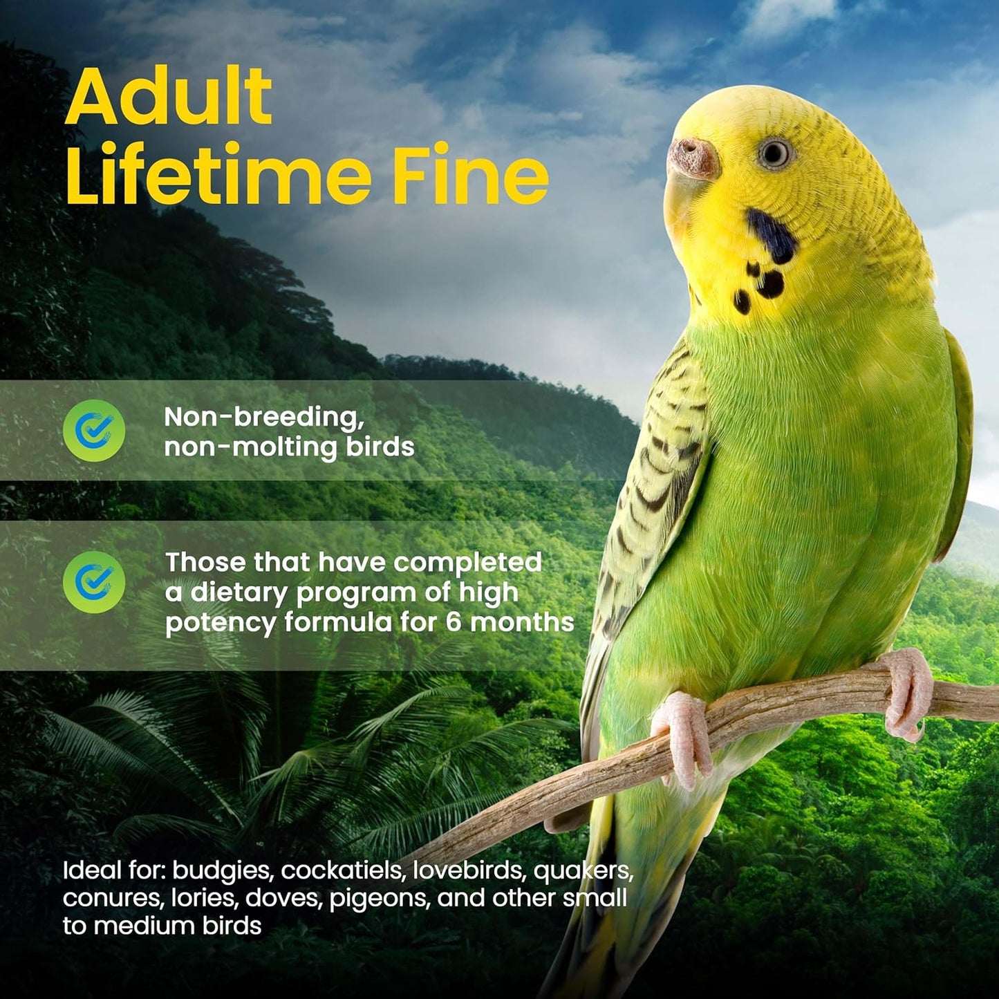 Harrison's Bird Foods Bird Food Adult Lifetime Fine Certified Organic Non-GMO Formula Bird Food 25lb