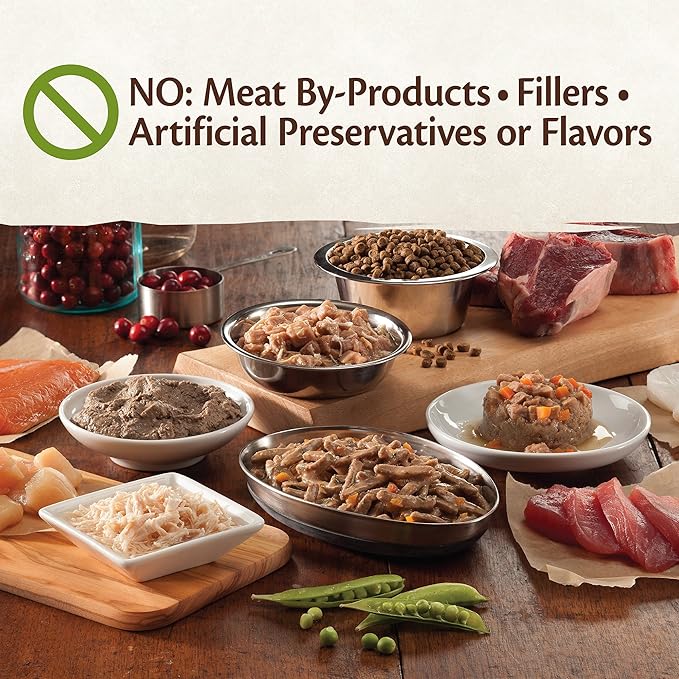 Wellness CORE Signature Selects Chunky Adult Wet Cat Food, Natural, Protein-Rich, Grain Free, 5.3 Ounce, 12 Pack (Chicken & Salmon)