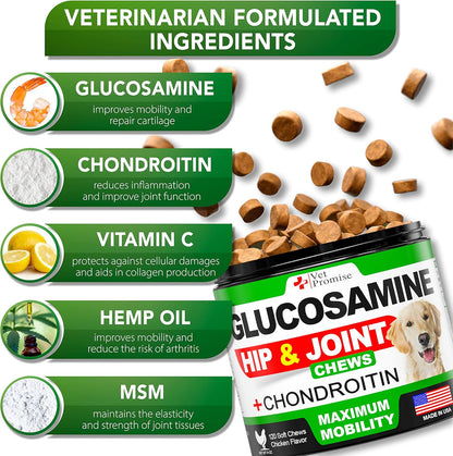 Vet Promise Glucosamine for Dogs - Hip and Joint Supplement for Dogs - Glucosamine Chondroitin - Joint Pain Relief Pills - MSM - Advanced Health Support Supplement - 120 Mobility Chews - Made in USA