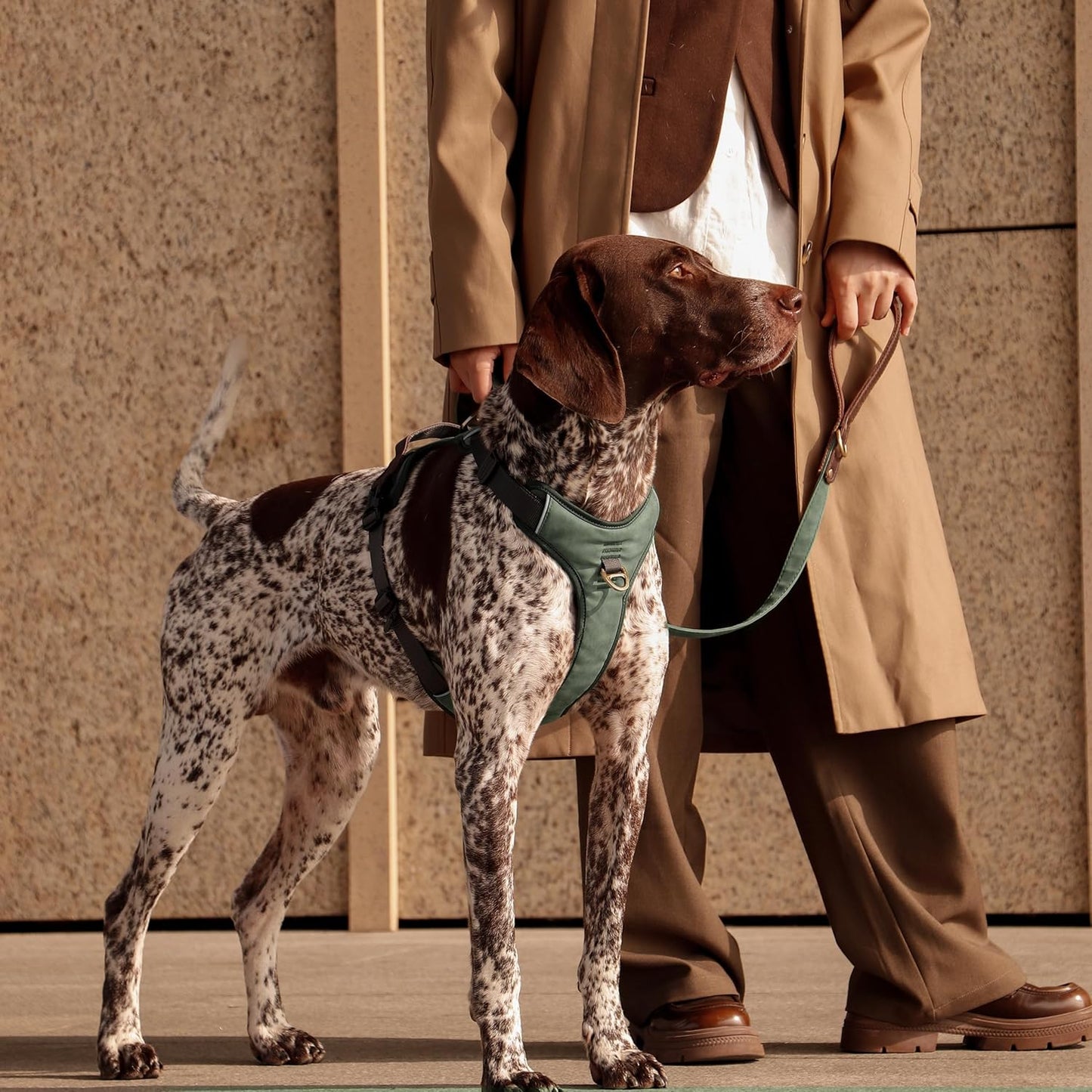 No Pull Dog Harness Medium Sized Dog,Stylish PU Leather Vest with Easy Control Handle,No Choke Front Clip with 2 Metal Leash Clips,Reflective & Adjustable for Walking,Green,Chest 27-33"