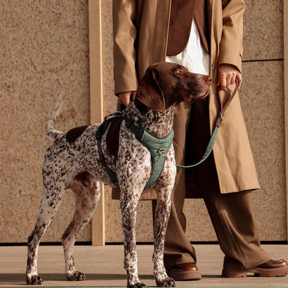 No Pull Dog Harness Medium Sized Dog,Stylish PU Leather Vest with Easy Control Handle,No Choke Front Clip with 2 Metal Leash Clips,Reflective & Adjustable for Walking,Green,Chest 27-33"