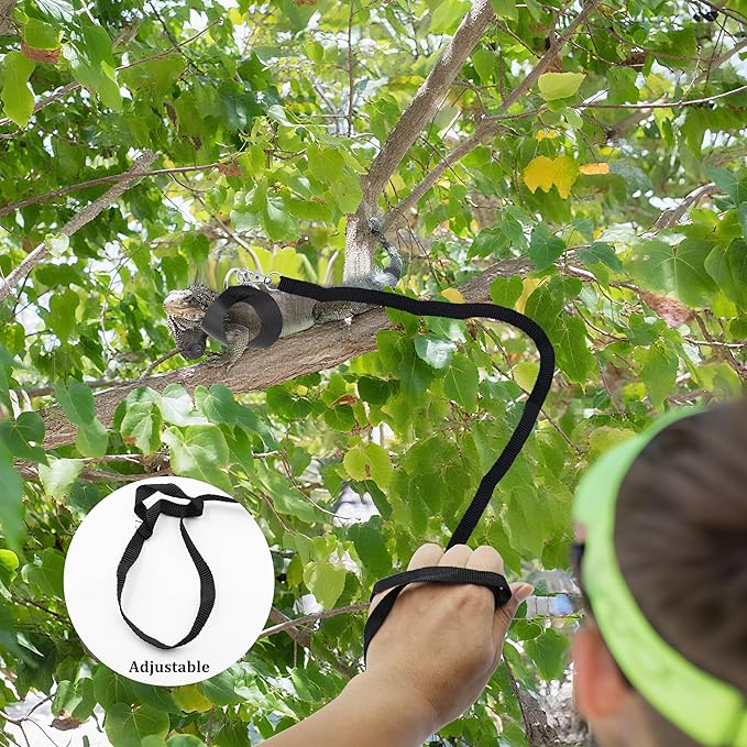 Bearded Dragon Harness and Leash Set, 3-Size Adjustable Soft Leather Reptile Leash for Training & Walking, Lizard Harness with Traction Rope, Walking Vest for Small Animal Outdoor, Black