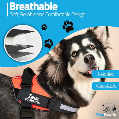 PawPawify Custom No Pull Dog Harness with Name and Phone Number, Heavy Duty Personalized Pet Vest to Prevent Tugging, Pulling, or Choking, Training and Walking (Orange, S (Chest 16-21in))