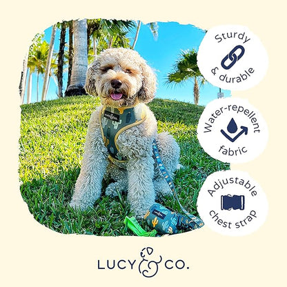 Lucy & Co. Looking Sharp, Cute Reversible Dog Harness Walking Halter - Best Designer Pet Harnesses for Medium Dogs - Padded Adjustable Vest for Easy Walking (Small)