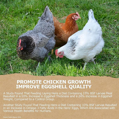 5LB Non-GMO Dried Black Soldier Fly Larvae, Superior Calcium Boost for Chickens, Better Than Dried Mealworms, Poultry Feed Ideal for Molting & Laying Hens, Wild Birds, Ducks | Top Grade BSF