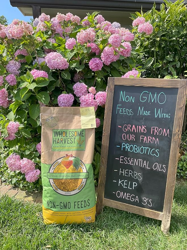 Non-GMO Quail Layer Feed 26% - Premium 40 lb Food for Laying Birds, Button Food