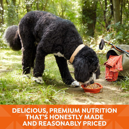 Nature's Recipe Wet Dog Food, Chicken in Broth Recipe, 2.75 Ounce Cup (Pack of 12) Package may vary