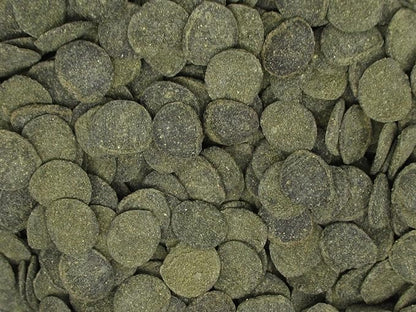 Mini Algae Discs - Sinking Diet for Snails, Shrimp & Bottom Feeding Fish (3oz (85g))