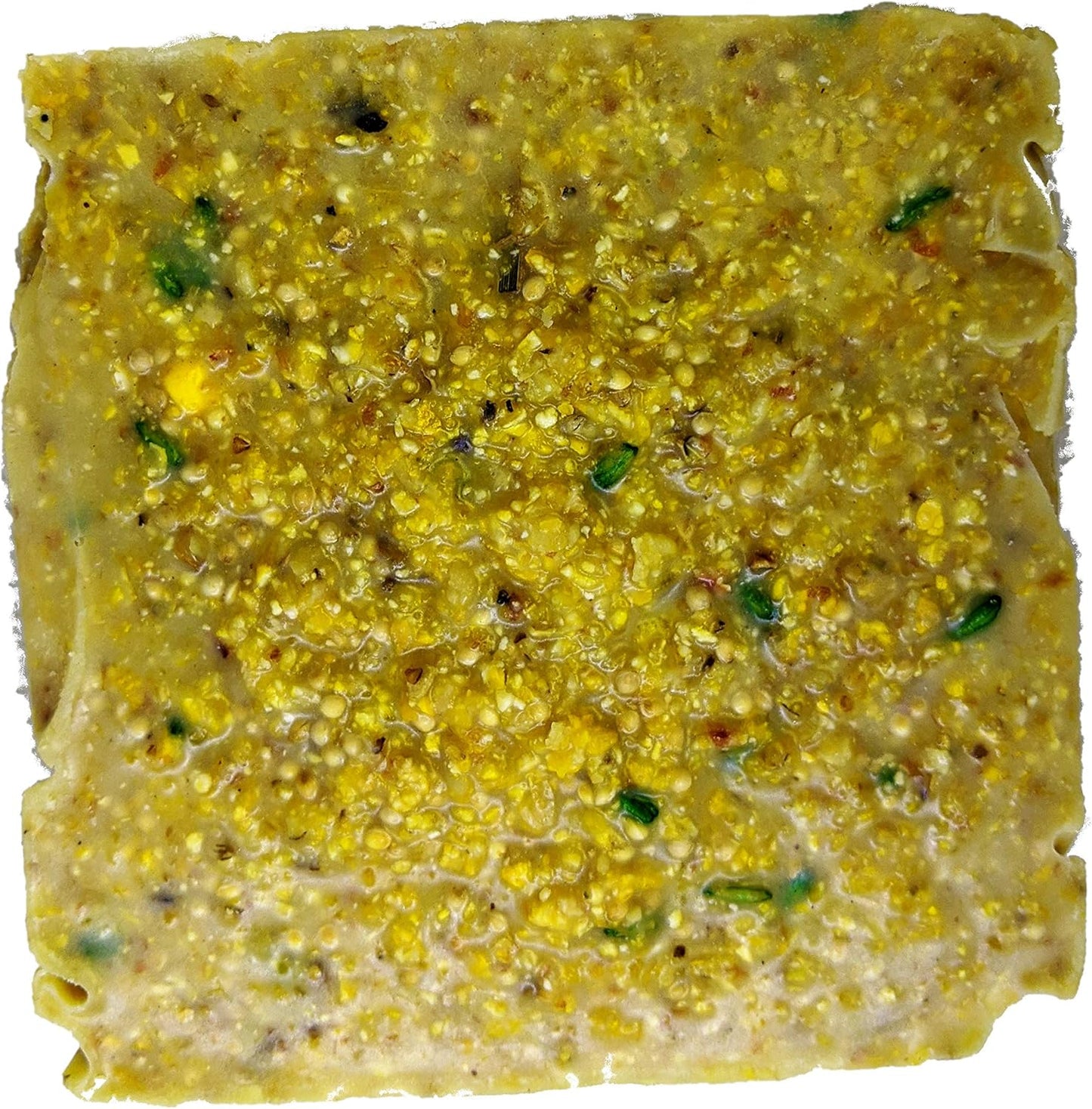 ST. ALBANS BAY SUET PLUS Suet Cake Variety Packs | 11 oz. Wild Bird Suet Cakes | (Apple, 10 Pack)