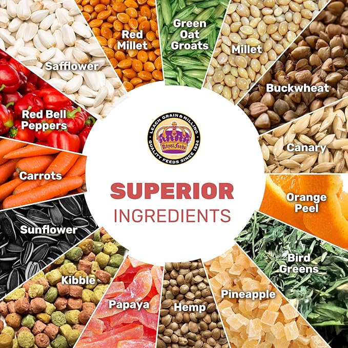 Cockatiel & Conure Cuisine 4 Lbs, Cockatiel & Conure Bird Seed, Nutrient-Rich Mixed Birdseeds, Bird Food for Cockatiels, Natural Mixed Seeds for Other Small Parrot, Daily Energy Growth & Balanced Diet