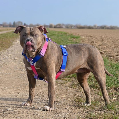 Spark Paws No Pull Dog Harness for Large Dogs, Heavy Duty Dog Harness for Big Strong Breeds, Adjustable, Y Shaped Padded Halter Design with Front Clip - Snow Cone - Medium