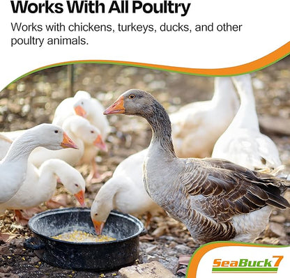 Chicken & Bird Supplement with Sea Buckthorn to Improve Egg Quality (1-Month Supply for 20 Chickens) – Earlier Laying, Egg Production Booster & Higher Quality Eggs