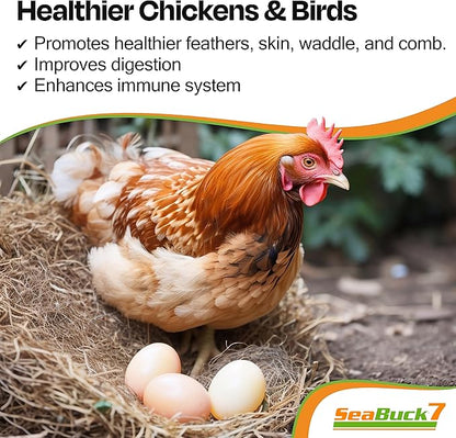 Chicken & Bird Supplement with Sea Buckthorn to Improve Egg Quality (1-Month Supply for 20 Chickens) – Earlier Laying, Egg Production Booster & Higher Quality Eggs