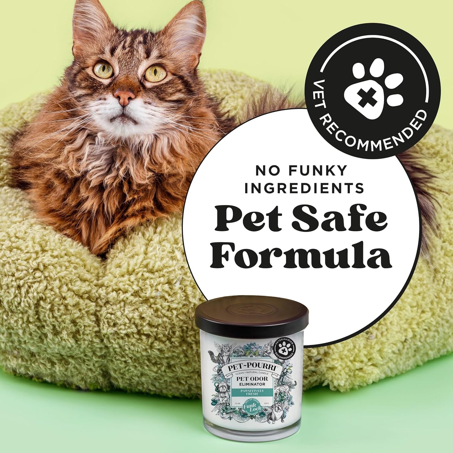 Pet-Pourri Pawsitively Fresh Pet Odor Deodorizer Candle, Burns Up to 45 Hours, Aromatherapy & Air Freshener with Essential Oils, Plant Based Ingredients & Wax, Vet Approved, Jasmine Pear Scent