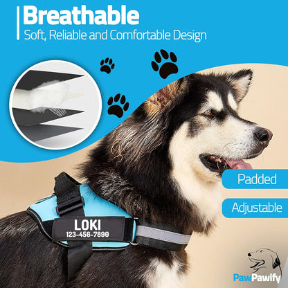 PawPawify Custom No Pull Dog Harness with Name and Phone Number, Heavy Duty Personalized Pet Vest to Prevent Tugging, Pulling, or Choking, Training and Walking (Sky Blue, L (Chest 23-30in))