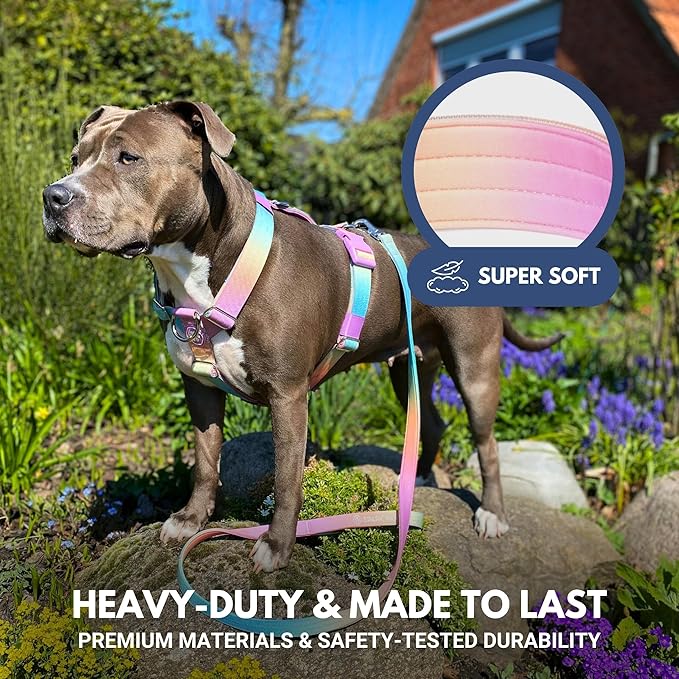 Spark Paws No Pull Dog Harness for Large Dogs, Heavy Duty Dog Harness for Big Strong Breeds, Adjustable, Y Shaped Padded Halter Design with Front Clip - Pastel Icing - S