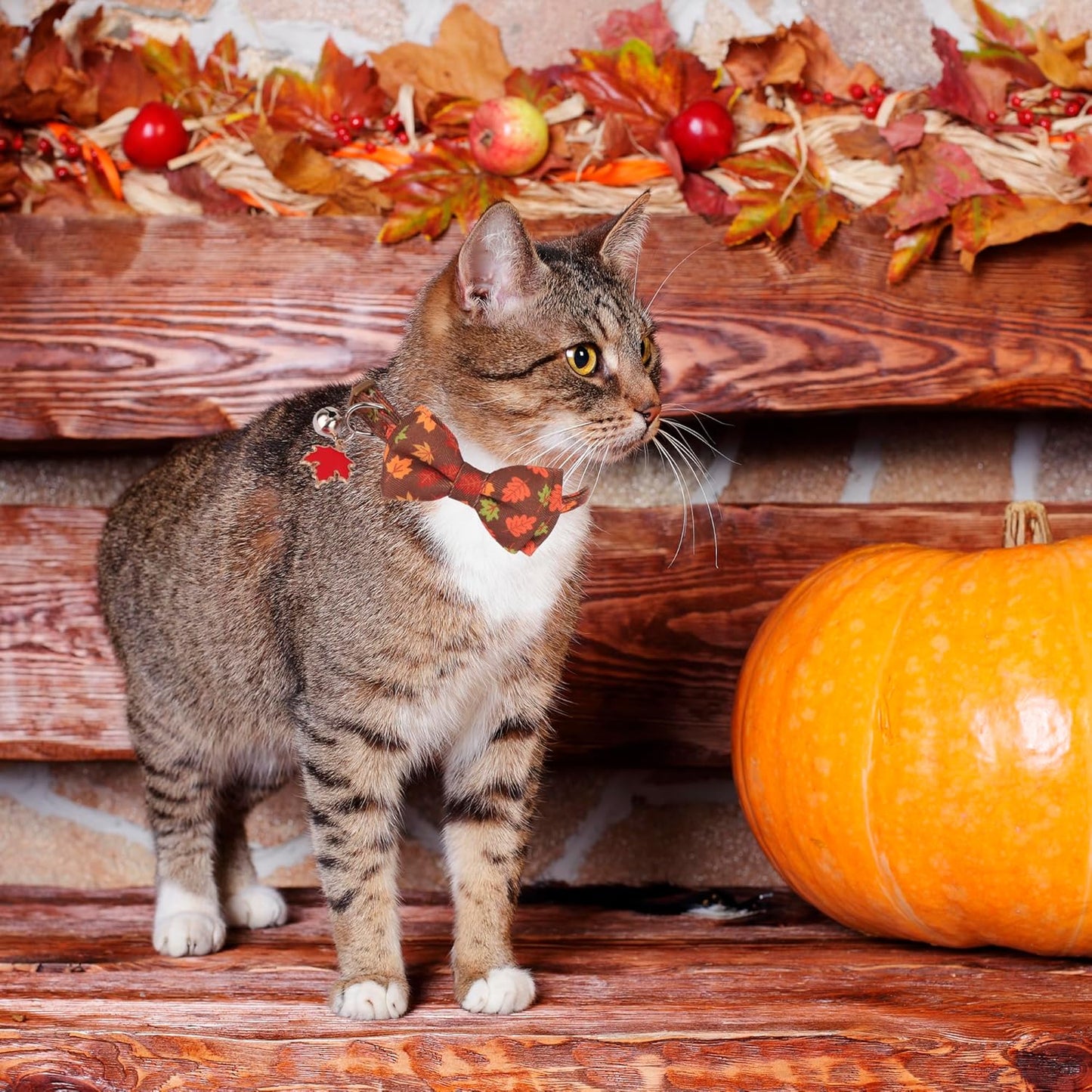 ADOGGYGO 2 Pack Fall Cat Collar with Removable Bow Bell, Brown Green, Halloween Thanksgiving Fall Collars for Cat Kitten