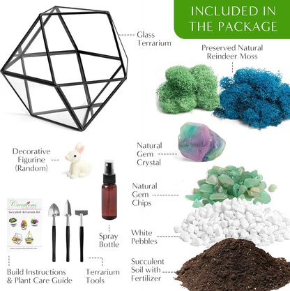 DIY 7" Geometric Terrarium Kit - Build Your Own Glass Terrarium for Adults & Kids with Moss, Crystals, Tools & Decorative Figurine - Mini Ecosystem - Handcrafted in The USA