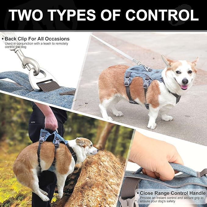 Escape Proof Dog Harness with Handle - Reflective No Pull Dog Vest, Lightweight Full Body Pet Harness Adjustable for Small Dogs Walking,Training(Blue,Chest:14-22")