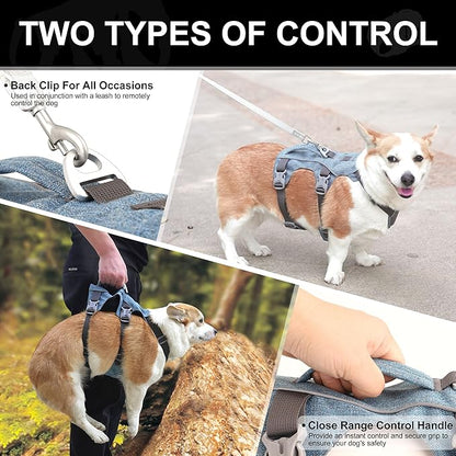 Escape Proof Dog Harness Medium Sized Dog, Reflective No Pull Dog Vest with Handle, Lightweight Full Body Pet Harness Adjustable for Walking,Training(Blue,Chest:17-32")