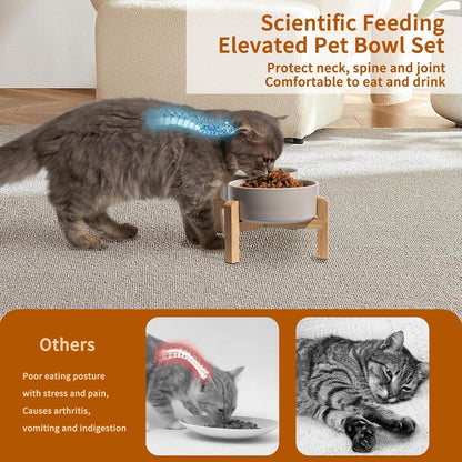 Elevated Ceramic Dog Bowl Set - Raised Feeding Bowls with Non-Slip Bamboo Stand - Small Pet Dishes for Food and Water - Ideal for Cats and Puppies - 16.23 OZ - 2 Cups - 480 ML