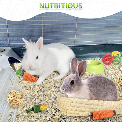 Rabbit Toys 13Pcs, Natural Hay Hamster Chew Toys for Teeth, Handmade Apple Wood Sticks Guinea Pig Bunny Toys Bunny Bed