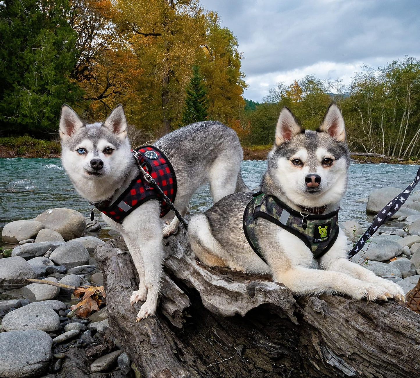 EcoBark Camo Dog Harness - Luxury Step in Mesh Dog Harnesses - Soft & Secure Wrap Around Body Halter