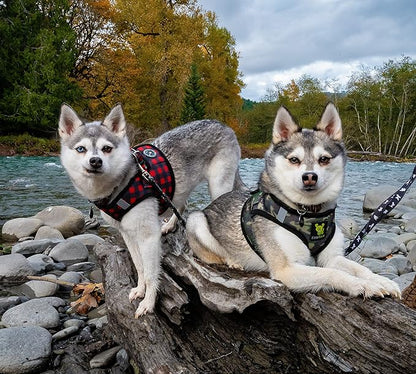 EcoBark Step in Dog Harness - Eco-Friendly Dog Harnesses for Small and Medium Breed Dogs - Reflective and Adjustable Body Halter Vest - Soft Mesh Toy Breed Harness (Camo, Large)