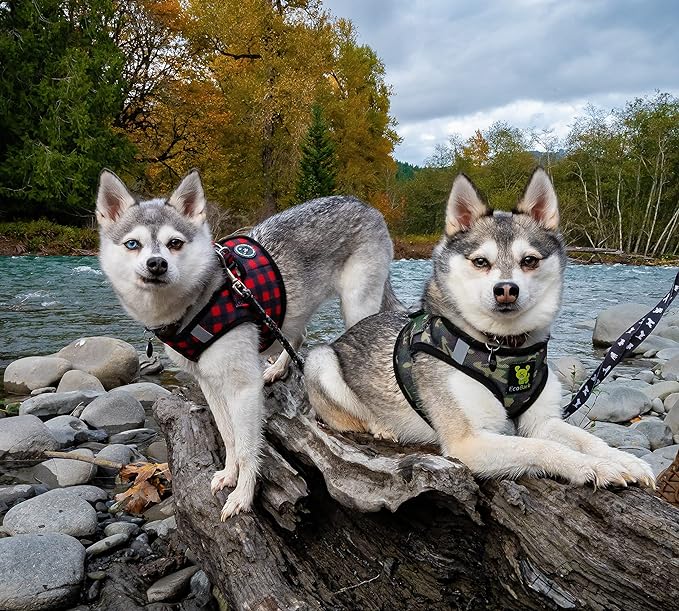 EcoBark Step in Dog Harness - Eco-Friendly Small Breed Dog Harnesses for XXS, XS, and Small Dogs - Reflective and Adjustable Mini Body Halter Vest - Tiny Soft Mesh Toy Breed Harness (Red Plaid, XS)