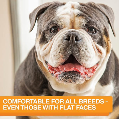 Neater Feeder Express Mess Proof Dog Bowls Elevated for Medium and Large Breed – Made in USA – No Spill Raised Slow Feeder Elevated Dog Bowl Stand, Slow Feed Food and Water Bowl Set, Black