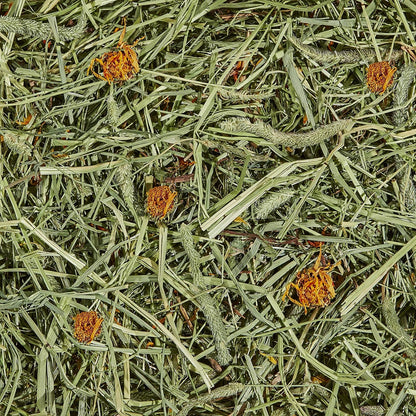 Kaytee All Natural Timothy Hay Plus Marigolds for Guinea Pigs, Rabbits & Other Small Animals, 24 Ounce (Pack of 2)