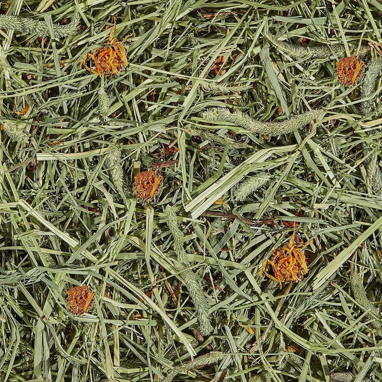 Kaytee All Natural Timothy Hay Plus Marigolds for Guinea Pigs, Rabbits & Other Small Animals, 24 Ounce