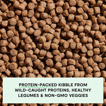 Open Farm, Grain-Free Dry Dog Food, Complete & Balanced Kibble, Sustainably & Ethically Sourced Ingredients, Non-GMO Veggies & Superfoods, Catch-of-The-Season Whitefish Recipe, 11lb Bag