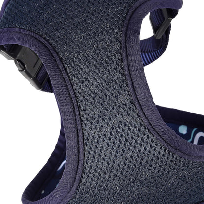 Mile High Life Step in Dog Harness for Small Dogs No Pull, Easy Get on Air Mesh Vest Harness, Adjustable Easy Closures Both Neck and Chest (Blue, L Chest 21.6"-43.2")