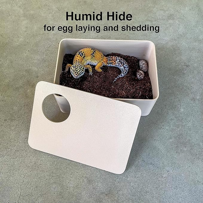 Reptile Hide, 3in1 Hide Box, Humid Hide, Food Dish, for Leopard Gecko, Lizard, Corn Snake, hognose Snake Provides shelter and Humidity for Egg and Shedding (Lobster Red)