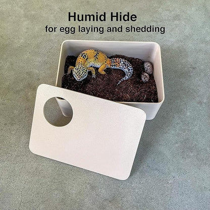 Reptile Hide, 3in1 Hide Box, Humid Hide, Food Dish, for Leopard Gecko, Lizard, Corn Snake, hognose Snake Provides shelter and Humidity for Egg and Shedding (Mystic Purple)