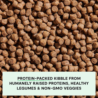 Open Farm, Grain-Free Dry Dog Food, Complete & Balanced Kibble, Sustainably & Ethically Sourced Ingredients, Non-GMO Veggies & Superfoods to Support Overall Health, Pork Recipe, 22lb Bag
